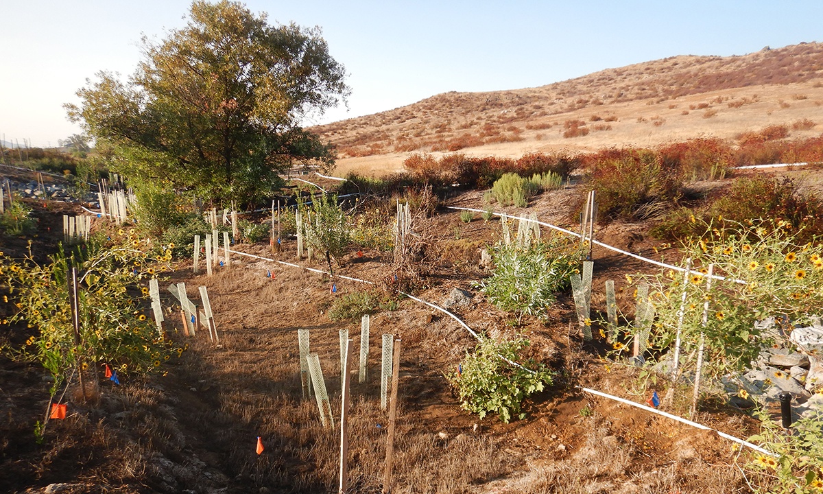 Riverside County Transportation Department Integrated Mitigation Project