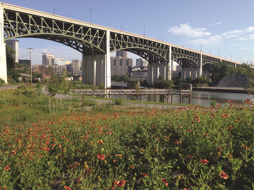 Rust Belt River Restoration