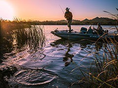 Gila River Restoration